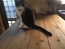 いつもの・・・・(;^ω^)