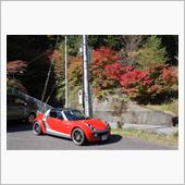 ２０２０紅葉ダウンヒル　みた ...