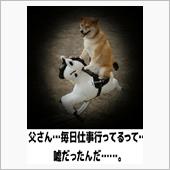 愛知に突撃ってきた。。。ダイ ...