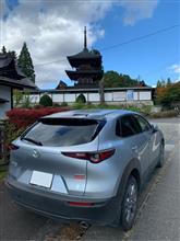 【西山横断・北辺まで 県道36号③】高山寺