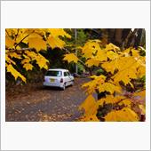 GoTo紅葉トラベル。1日目。