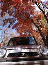 塩原紅葉ドライブ