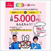マイナポイント始めちゃう！？