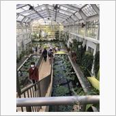 久しぶりの植物園