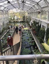 久しぶりの植物園