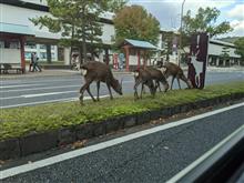 今日はお山で車中泊の練習をしました