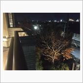 紅葉が彩りを添えてくれます（ ...
