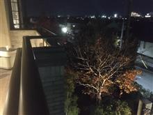 紅葉が彩りを添えてくれます（　＾ω＾）・・・