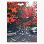 紅葉高野山
