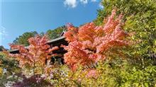 円成寺に行きました！　～2020年紅葉狩り～