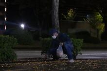 拾い食いは良くないけど