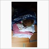 寒くなりましたね･････ぬ ...