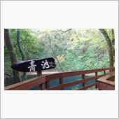 2020湯治の旅GoTo編( ...