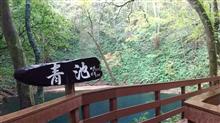 2020湯治の旅GoTo編(5)