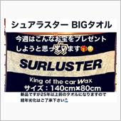 【カーウオッシュ大井】今週の ...