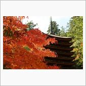 談山神社〜カエデの郷ひらら