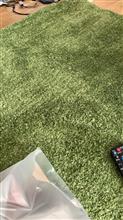 芝生みたいな