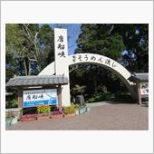 38年ぶりに指宿へ・・・⑤( ...