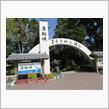 38年ぶりに指宿へ・・・⑤(名物)