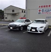 スポーツセダンの傑作：LEXUS　IS