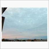 １１月６日　あっという間にラ ...