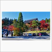 911と遊ぶ　紅葉と矢板のお店