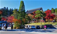 911と遊ぶ　紅葉と矢板のお店