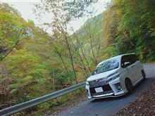 秋の山&#215;VOXY Part3