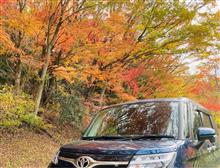 明日の紅葉狩りは筋湯温泉がオススメ