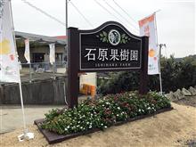 岡山ドライブ・石原果樹園の梨狩りへ