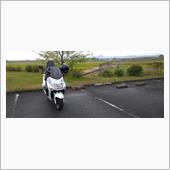 今朝も例の場所で