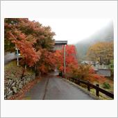 「霧に浮かぶ紅葉」vs「宵闇 ...