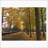 万博記念公園
