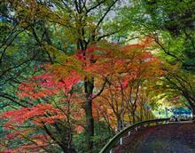新ボディの初回は近場の紅葉狩り。
