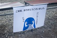 まつり参戦!(第1部) まつり参戦!(第1部)