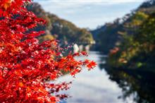 碓氷・妙義方面へ紅葉狩りに行ってみました 碓氷・妙義方面へ紅葉狩りに行ってみました