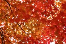 紅葉狩り＆撮影ツーリング