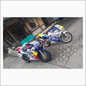ﾚｰｻｰﾚﾌﾟﾘｶﾋﾞｯｸﾞ ...