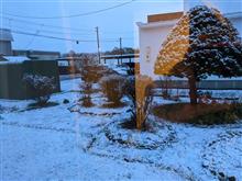 初積雪! 初積雪!