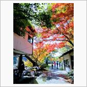 長門峡（山口市）紅葉を見にソ ...