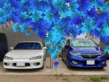 フィットの車検と代車