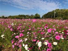 馬見丘陵公園～和泉リサイクル環境公園。