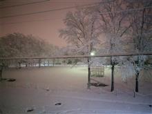 雪