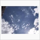 今日も良いお天気ですよー