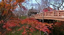 高遠城址公園にて