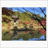 京都・奈良紅葉紀行 2020 ...