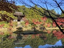 京都・奈良紅葉紀行 2020-1 忍辱山（にんにくせん）円成寺