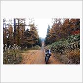 Be an adventur ...