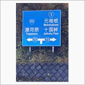 久し振りの椿ライン