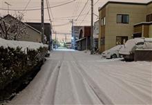 スノードライブ スノードライブ